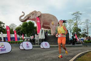 BIB: 
                            <button type="button" onclick="openModal(26529073)" class="btn btn-primary btn-sm float-right btn-popup" data-toggle="modal" data-target=".modal-high-quality">
                        <i class="fas fa-shopping-cart"></i> Add to Cart
                    </button>
                                            <button type="button" onclick="isThisMe(26529073, true)" class="btn btn-success btn-sm float-right btn-popup btn-isme hidden" data-toggle="tooltip" data-placement="bottom" title="นี่คือรูปของคุณใช่ไหม คลิกที่นี่เพื่อเอาเข้าอัลบั้ม">
                        <i class="fas fa-plus"></i> Add to album
                    </button>
                    <button type="button" onclick="isThisMe(26529073, false)" class="btn btn-warning btn-sm float-right btn-popup btn-isnotme hidden">
                        <i class="fas fa-ban"></i> Remove from album
                    </button>